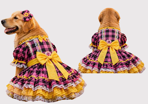 Fantasia Vestido para Cachorro Festa Junina Gaby Moda Pet Golden Retrivier