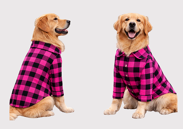 Camisa Pet Xadrez Rosa Manga Longa Gaby Moda Pet Golden Retrivier