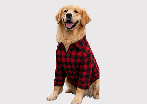 Camisa Pet Xadrez Vermelho Manga Longa Gaby Moda Pet Golden Retrivier
