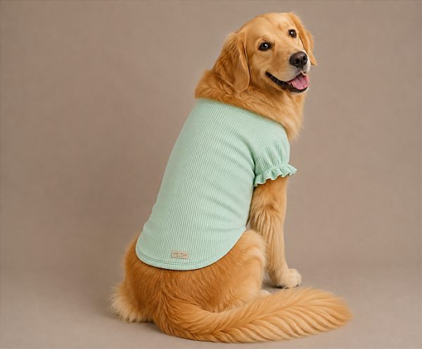 Camiseta TShirt Pet Algodão Verde Premium Gaby Moda Pet Golden Retrivier