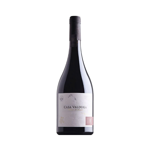 Vinho Casa Valduga Terroir Exclusivo Touriga Nacional e Gewurztraminer