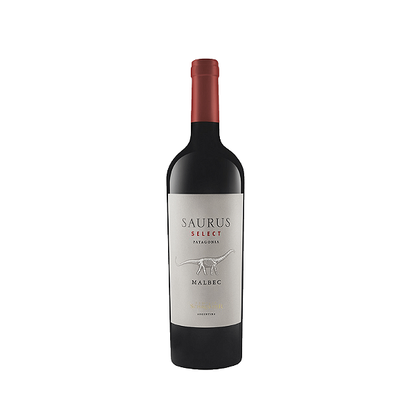 Vinho Familia Schroeder Malbec Saurus Select