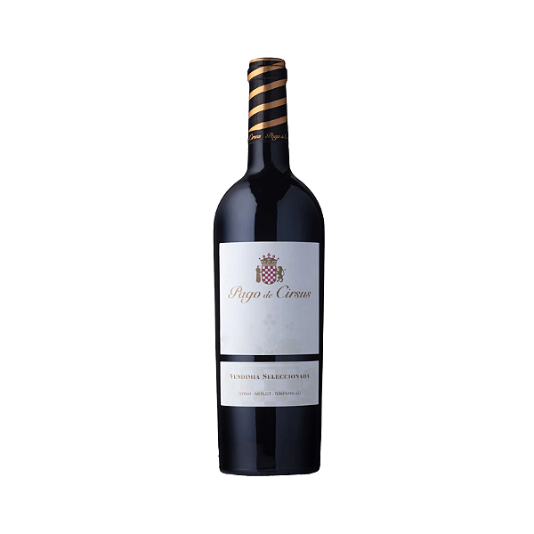 Vinho Pago de Cirsus Navarra Vendimia Seleccionada 2020