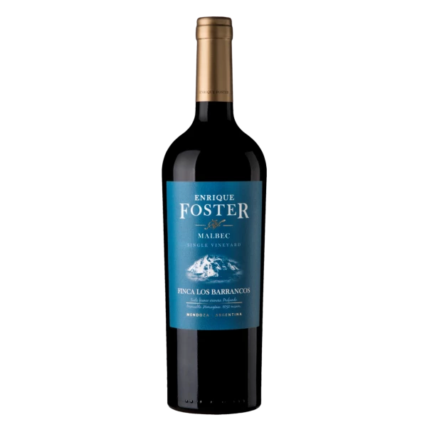 Vinho Enrique Foster Single Vineyard Los Barrancos Malbec 750ml