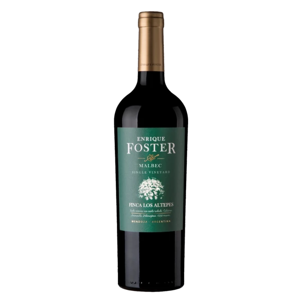 Vinho Enrique Foster Los Altepes Malbec 750ml