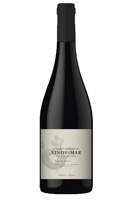 Vinho Vinos De Mar Sierra De Las Palmas Pinot Noir by Michelini i Mufatto