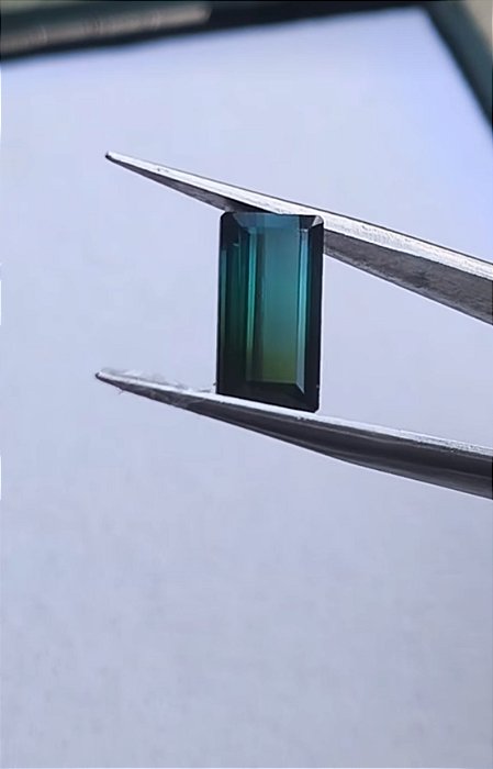 TURMALINA BICOLOR