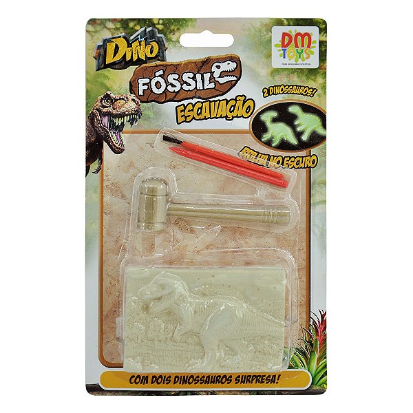 DINOSSAURO FOSSEIS ESCAVAÇÃO