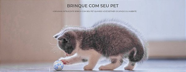 Adeus à bolinha: gatos já jogam no smartphone, mas isso é bom para eles? -  08/11/2020 - UOL TILT