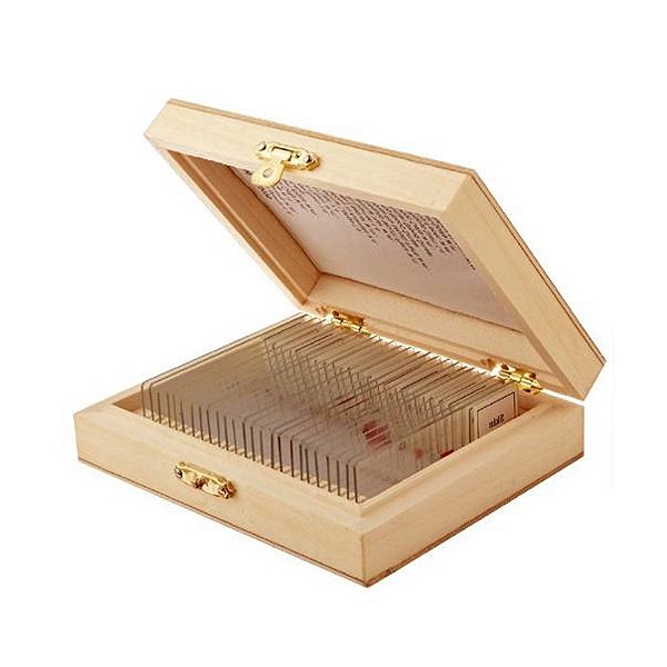 Kit De Lâminas Preparadas Para Ensino Medio/Fundamental Com 12 Peças