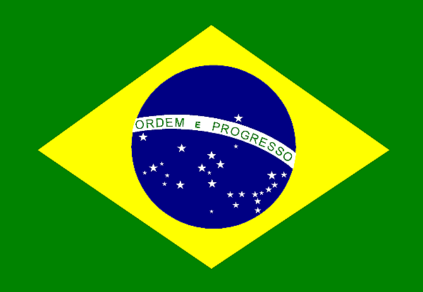 Bandeira Brasil Oxford Bordado 112x160cm und.