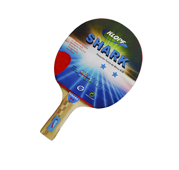 Raquete para Ping Pong B/B LISA 2 Estrelas