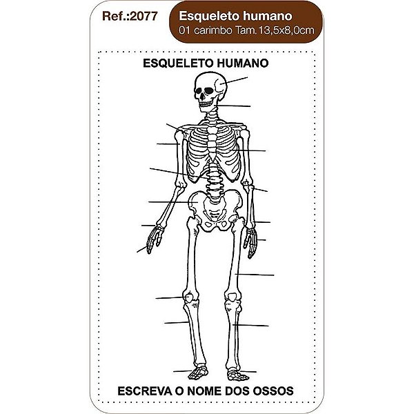 Carimbos Esqueleto Humano c/1 un.