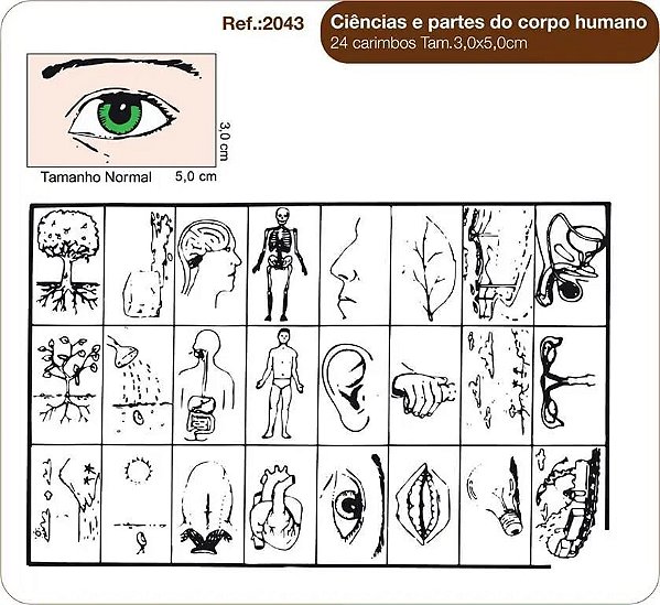 Carimbos Ciências E Partes do Corpo Humano c/24 un.