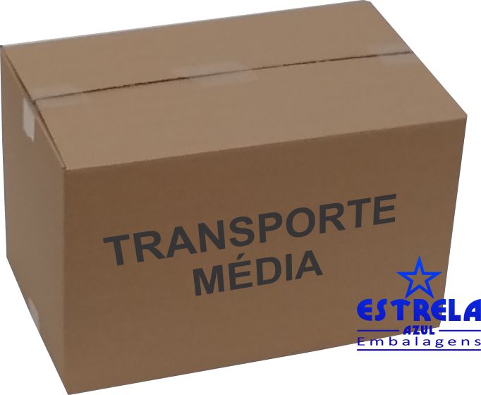 Caixa de Transporte Média Med. 48x30x30cm - Ref.21