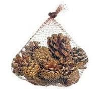 SAQUINHO COM PINHAS NAT (PICKS) C/1 UN