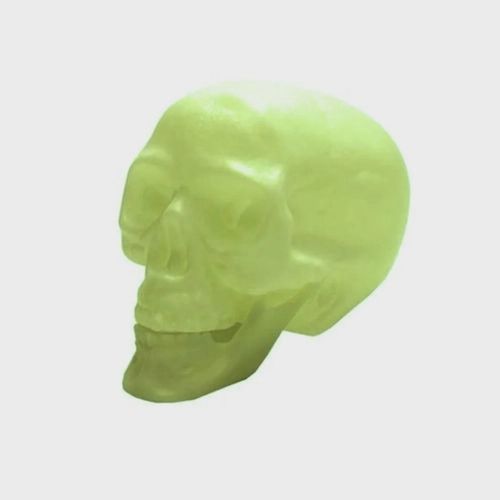 CRANIO COM MANDIBULA NEON UNICA