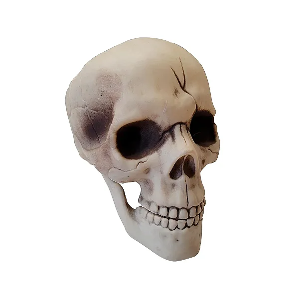 CRANIO MANDIBULA MOVEL