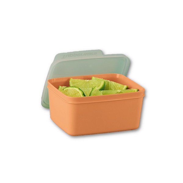 Tupperware Basic Line 500ml Salmão Branca