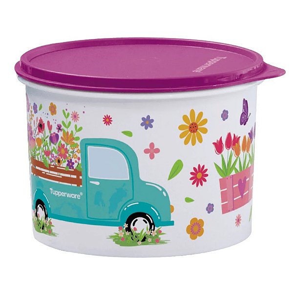 Tupperware Caixa 2,4L Caminho das Flores