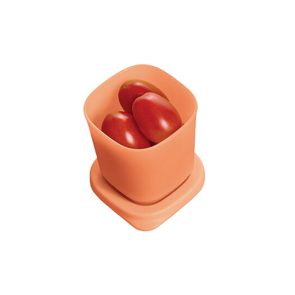 Tupperware Refri Line Mini 110ml Salmão
