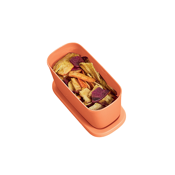 Tupperware Refri Line Mini 250ml Salmão