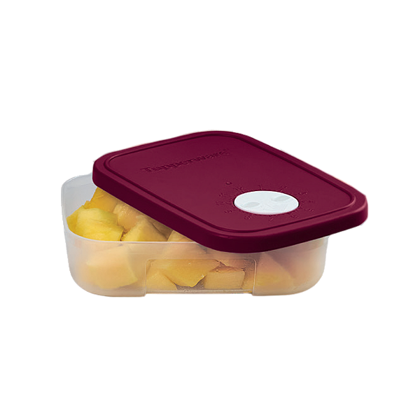 Tupperware Freezer Time 300ml Incolor Marsala