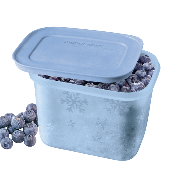 Tupperware Freezer Line 1,1L Azul Claro