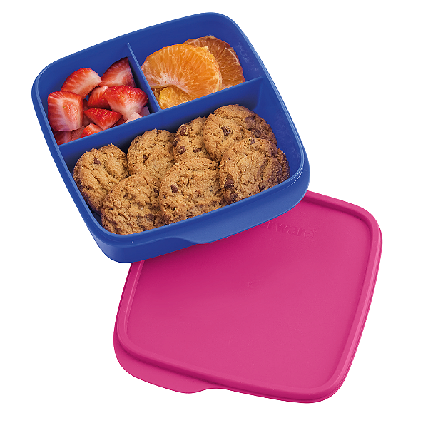 Tupperware Basic Line com Divisória 550ml Azul Rosa