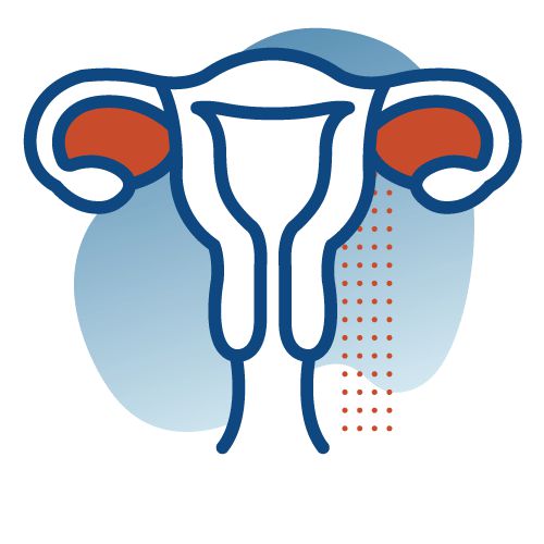 Consulta Ginecologia e Obstetrícia