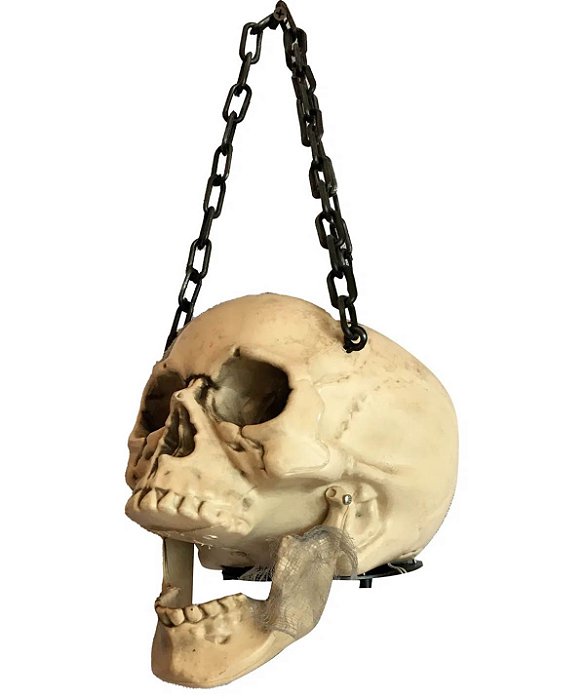 Caveira Pendurada Decorativa