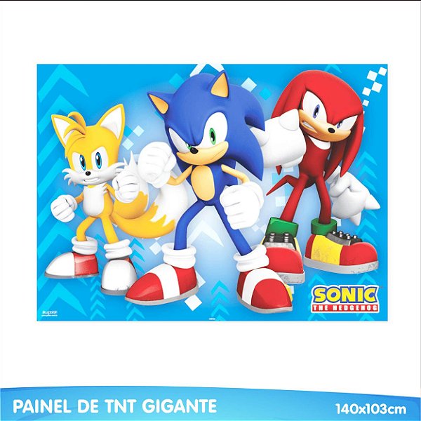Painel em TNT Sonic