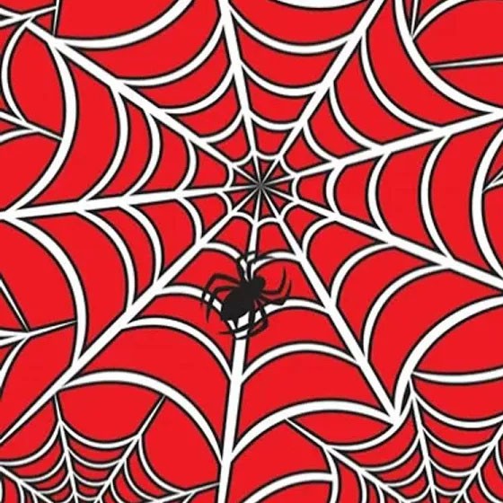 TNT Estampado Aranha  - 1,40m x 1m