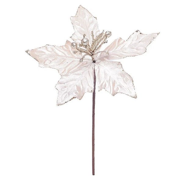 Pick Poinsetia Rosa