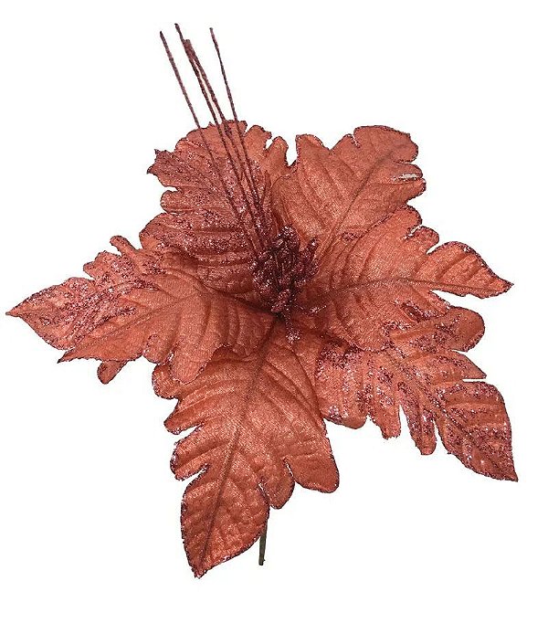 Pick Poinsetia Rosa Blush 22cm