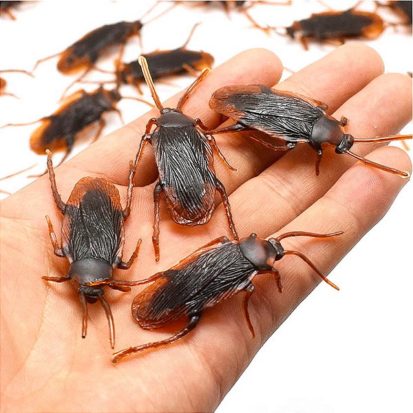 Barata de Plástico Falsa Realista Halloween – Kit com 12 Unidades