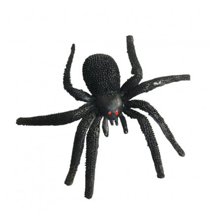 Aranha Caranguejeira 14 cm
