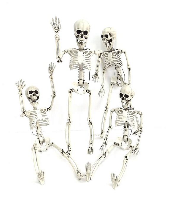Esqueleto Halloween Articulado 40 cm – 1 Unidade