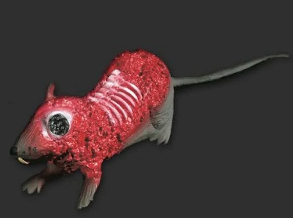 Rato Ferido Halloween