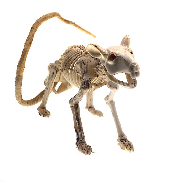 Esqueleto de Rato Halloween – 20cm | Enfeite Plástico Decorativo