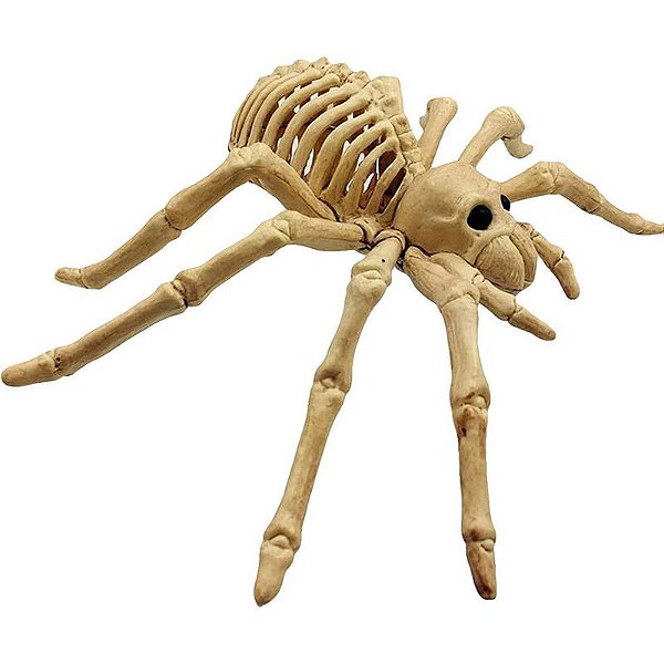 Enfeite Esqueleto Plástico de Aranha Importado Halloween - 23cm x 11cm