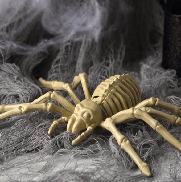 Enfeite Esqueleto Plástico de Aranha Importado Halloween - 23x11cm