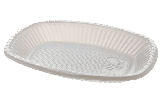 Travessa Plástica Biodegradável Média 24x19cm - 10 Unidades