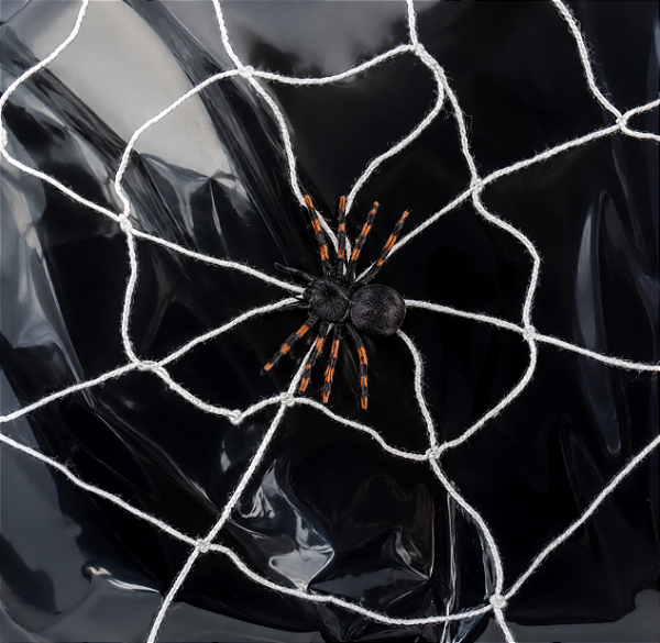 Teia com Aranha Halloween – Toque Assustador em Sua Decoração!