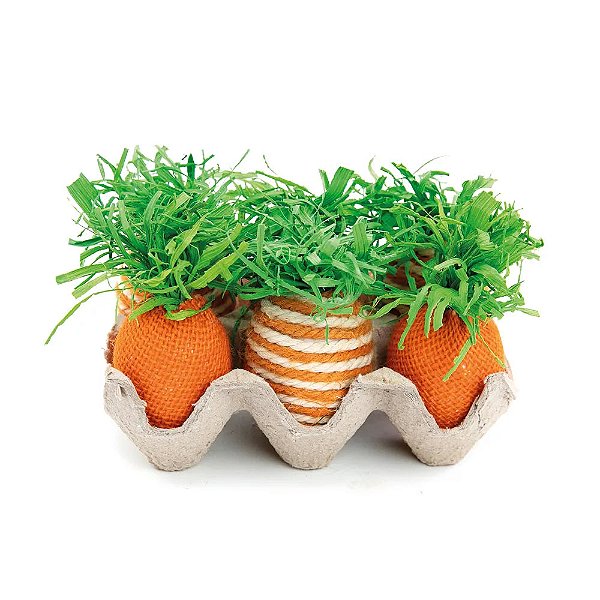 Cartela Ovos com 6 Cenouras Laranja