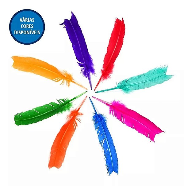 Pena De Pato 16cm Cores Diversas Pct C/6