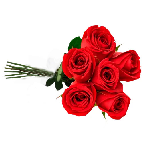 Buquê Com 6 Rosas De Veludo Vermelhas Médias Artificiais