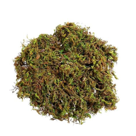 Musgo Artificial Verde Para Arranjos E Jardins 40g
