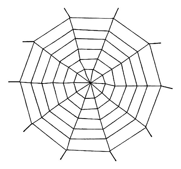 Teia De Aranha Gigante Halloween - Cor Preto - 120cm