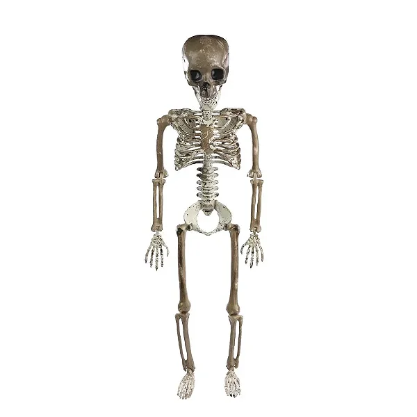 Esqueleto Dominic para Pendurar – 96cm